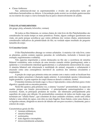 42
• Classe Anthozoa:
Nas anêmonas-do-mar os espermatozóides e óvulos são produzidos tanto por
indivíduos hermafroditas ou dióicos. A fecundação pode ocorrer na cavidade gastrovascular
ou no exterior do corpo e a larva formada fixa-se para o desenvolvimento do adulto.
3 FILO PLATYHELMINTHES
(do grego: platy, achatado; helminthes, vermes)
De todos os filos bilaterais, os vermes chatos de vida livre do filo Platyhelminthes são
considerados há muito tempo os mais primitivos. Porém, alguns zoólogos questionam essa
visão, em parte porque acredita-se que vários atributos dos vermes chatos, anteriormente
considerados indicativos da primitividade do filo, na verdade sejam resultado do pequeno
tamanho do corpo.
3.1 Conceitos Gerais
O filo Platyhelminthes abrange os vermes achatados. A maioria é de vida livre, como
as planárias, porém existem espécies parasitas de vertebrados, incluindo o homem (por
exemplo, esquistossomo e solitária).
Três aspectos importantes a serem destacados no filo são: a ocorrência de simetria
bilateral verdadeira; uma evolução de uma terceira camada celular (parênquima), entre a
epiderme e o revestimento intestinal (gastroderme); e o achatamento dorsoventral do corpo.
A simetria bilateral está relacionada à motilidade do animal, enquanto o achatamento é
encarado como uma conseqüência inevitável da ausência dos sistemas circulatório e
respiratório.
A porção do corpo que primeiro entra em contato com o meio e onde se localizam boa
parte dos órgãos sensoriais é chamada região anterior. A extremidade oposta é denominada
região posterior. A parte superior do corpo chama-se dorsal e a inferior, ventral.
O intestino termina em fundo cego e a boca é tipicamente a única abertura para o trato
digestivo, quando este se encontra presente.
Neste filo aparece, pela primeira vez, o sistema “excretor” protonefridial. As aspas são
usadas porque sua função provavelmente é principalmente osmorreguladora e não
excretora. Assim, os principais produtos de excreta são eliminados principalmente pela
superfície do corpo, por difusão. Os protonefrídios consistem de tubos em fundo cego, que
terminam em “células flama”, que consistem de duas unidades celulares, sendo uma célula
tubular e uma célula de capuz, com dois ou mais flagelos. Esses batem, como uma chama, e
os líquidos entram, dirigindo-se através de túbulos até um poro excretor e, finalmente, para o
exterior do corpo.
Características gerais do filo:
Animais triblásticos;
simetria bilateral;
acelomados;
trato digestivo incompleto;
dorsoventralmente achatados.
 