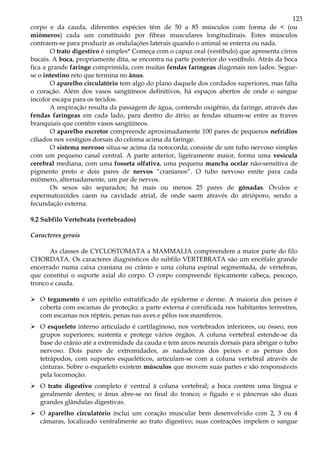 123
corpo e da cauda, diferentes espécies têm de 50 a 85 músculos com forma de < (ou
miômeros) cada um constituído por fibras musculares longitudinais. Estes músculos
contraem-se para produzir as ondulações laterais quando o animal se enterra ou nada.
O trato digestivo é simples* Começa com o capuz oral (vestíbulo) que apresenta cirros
bucais. A boca, propriamente dita, se encontra na parte posterior do vestíbulo. Atrás da boca
fica a grande faringe comprimida, com muitas fendas faríngeas diagonais nos lados. Segue-
se o intestino reto que termina no ânus.
O aparelho circulatório tem algo do plano daquele dos cordados superiores, mas falta
o coração. Além dos vasos sangüíneos definitivos, há espaços abertos de onde o sangue
incolor escapa para os tecidos.
A respiração resulta da passagem de água, contendo oxigênio, da faringe, através das
fendas faríngeas em cada lado, para dentro do átrio; as fendas situam-se entre as traves
branquiais que contêm vasos sangüíneos.
O aparelho excretor compreende aproximadamente 100 pares de pequenos nefrídios
ciliados nos vestígios dorsais do celoma acima da faringe.
O sistema nervoso situa-se acima da notocorda; consiste de um tubo nervoso simples
com um pequeno canal central. A parte anterior, ligeiramente maior, forma uma vesícula
cerebral mediana, com uma fosseta olfativa, uma pequena mancha ocelar não-sensitiva de
pigmento preto e dois pares de nervos “cranianos”. O tubo nervoso emite para cada
miômero, alternadamente, um par de nervos.
Os sexos são separados; há mais ou menos 25 pares de gônadas. Óvulos e
espermatozóides caem na cavidade atrial, de onde saem através do atrióporo, sendo a
fecundação externa.
9.2 Subfilo Vertebrata (vertebrados)
Caracteres gerais
As classes de CYCLOSTOMATA a MAMMALIA compreendem a maior parte do filo
CHORDATA. Os caracteres diagnósticos do subfilo VERTEBRATA são um encéfalo grande
encerrado numa caixa craniana ou crânio e uma coluna espinal segmentada, de vértebras,
que constitui o suporte axial do corpo. O corpo compreende tipicamente cabeça, pescoço,
tronco e cauda.
O tegumento é um epitélio estratificado de epiderme e derme. A maioria dos peixes é
coberta com escamas de proteção; a parte externa é cornificada nos habitantes terrestres,
com escamas nos répteis, penas nas aves e pêlos nos mamíferos.
O esqueleto interno articulado é cartilaginoso, nos vertebrados inferiores, ou ósseo, nos
grupos superiores; sustenta e protege vários órgãos. A coluna vertebral estende-se da
base do crânio até a extremidade da cauda e tem arcos neurais dorsais para abrigar o tubo
nervoso. Dois pares de extremidades, as nadadeiras dos peixes e as pernas dos
tetrápodos, com suportes esqueléticos, articulam-se com a coluna vertebral através de
cinturas. Sobre o esqueleto existem músculos que movem suas partes e são responsáveis
pela locomoção.
O trato digestivo completo é ventral à coluna vertebral; a boca contém uma língua e
geralmente dentes; o ânus abre-se no final do tronco; o fígado e o pâncreas são duas
grandes glândulas digestivas.
O aparelho circulatório inclui um coração muscular bem desenvolvido com 2, 3 ou 4
câmaras, localizado ventralmente ao trato digestivo; suas contrações impelem o sangue
 