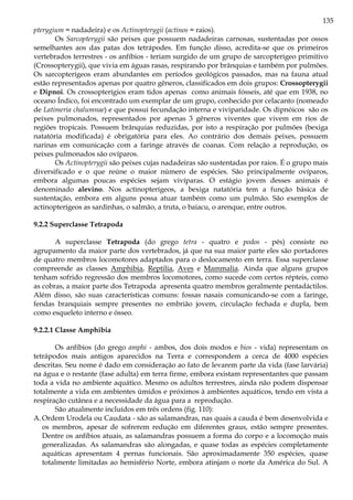 135
pterygium = nadadeira) e os Actinopterygii (actinos = raios).
Os Sarcopterygii são peixes que possuem nadadeiras carnosas, sustentadas por ossos
semelhantes aos das patas dos tetrápodes. Em função disso, acredita-se que os primeiros
vertebrados terrestres - os anfíbios - teriam surgido de um grupo de sarcopterígeo primitivo
(Crossopterygii), que vivia em águas rasas, respirando por brânquias e também por pulmões.
Os sarcopterígeos eram abundantes em períodos geológicos passados, mas na fauna atual
estão representados apenas por quatro gêneros, classificados em dois grupos: Crossopterygii
e Dipnoi. Os crossopterígios eram tidos apenas como animais fósseis, até que em 1938, no
oceano Índico, foi encontrado um exemplar de um grupo, conhecido por celacanto (nomeado
de Latimeria chalumnae) e que possui fecundação interna e viviparidade. Os dipnóicos são os
peixes pulmonados, representados por apenas 3 gêneros viventes que vivem em rios de
regiões tropicais. Possuem brânquias reduzidas, por isto a respiração por pulmões (bexiga
natatória modificada) é obrigatória para eles. Ao contrário dos demais peixes, possuem
narinas em comunicação com a faringe através de coanas. Com relação a reprodução, os
peixes pulmonados são ovíparos.
Os Actinopterygii são peixes cujas nadadeiras são sustentadas por raios. É o grupo mais
diversificado e o que reúne o maior número de espécies. São principalmente ovíparos,
embora algumas poucas espécies sejam vivíparas. O estágio jovem desses animais é
denominado alevino. Nos actinopterígeos, a bexiga natatória tem a função básica de
sustentação, embora em alguns possa atuar também como um pulmão. São exemplos de
actinopterígeos as sardinhas, o salmão, a truta, o baiacu, o arenque, entre outros.
9.2.2 Superclasse Tetrapoda
A superclasse Tetrapoda (do grego tetra - quatro e podos - pés) consiste no
agrupamento da maior parte dos vertebrados, já que na sua maior parte eles são portadores
de quatro membros locomotores adaptados para o deslocamento em terra. Essa superclasse
compreende as classes Amphibia, Reptilia, Aves e Mammalia. Ainda que alguns grupos
tenham sofrido regressão dos membros locomotores, como sucede com certos répteis, como
as cobras, a maior parte dos Tetrapoda apresenta quatro membros geralmente pentadáctilos.
Além disso, são suas características comuns: fossas nasais comunicando-se com a faringe,
fendas branquiais sempre presentes no embrião jovem, circulação fechada e dupla, bem
como esqueleto interno e ósseo.
9.2.2.1 Classe Amphibia
Os anfíbios (do grego amphi - ambos, dos dois modos e bios - vida) representam os
tetrápodos mais antigos aparecidos na Terra e correspondem a cerca de 4000 espécies
descritas. Seu nome é dado em consideração ao fato de levarem parte da vida (fase larvária)
na água e o restante (fase adulta) em terra firme, embora existam representantes que passam
toda a vida no ambiente aquático. Mesmo os adultos terrestres, ainda não podem dispensar
totalmente a vida em ambientes úmidos e próximos à ambientes aquáticos, tendo em vista a
respiração cutânea e a necessidade da água para a reprodução.
São atualmente incluídos em três ordens (fig. 110):
A. Ordem Urodela ou Caudata - são as salamandras, nas quais a cauda é bem desenvolvida e
os membros, apesar de sofrerem redução em diferentes graus, estão sempre presentes.
Dentre os anfíbios atuais, as salamandras possuem a forma do corpo e a locomoção mais
generalizadas. As salamandras são alongadas, e quase todas as espécies completamente
aquáticas apresentam 4 pernas funcionais. São aproximadamente 350 espécies, quase
totalmente limitadas ao hemisfério Norte, embora atinjam o norte da América do Sul. A
 