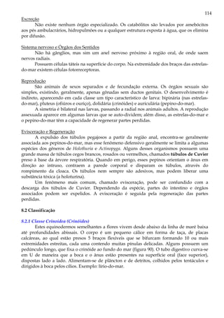 114
Excreção
Não existe nenhum órgão especializado. Os catabólitos são levados por amebócitos
aos pés ambulacrários, hidropulmões ou a qualquer estrutura exposta à água, que os elimina
por difusão.
Sistema nervoso e Órgãos dos Sentidos
Não há gânglios, mas sim um anel nervoso próximo à região oral, de onde saem
nervos radiais.
Possuem células táteis na superfície do corpo. Na extremidade dos braços das estrelas-
do-mar existem células fotorreceptoras.
Reprodução
São animais de sexos separados e de fecundação externa. Os órgãos sexuais são
simples, existindo, geralmente, apenas gônadas sem ductos genitais. O desenvolvimento é
indireto, aparecendo em cada classe um tipo característico de larva: bipinária (nas estrelas-
do-mar), pluteus (ofiúros e ouriço), dolidária (crinóides) e auriculária (pepino-do-mar).
A simetria é bilateral nas larvas, passando a radial nos animais adultos. A reprodução
assexuada aparece em algumas larvas que se auto-dividem; além disso, as estrelas-do-mar e
o pepino-do-mar têm a capacidade de regenerar partes perdidas.
Evisceração e Regeneração
A expulsão dos túbulos pegajosos a partir da região anal, encontra-se geralmente
associada aos pepinos-do-mar, mas esse fenômeno defensivo geralmente se limita a algumas
espécies dos gêneros de Holothuria e Actinopyga. Alguns desses organismos possuem uma
grande massa de túbulos cegos brancos, rosados ou vermelhos, chamados túbulos de Cuvier
preso à base da árvore respiratória. Quando em perigo, esses pepinos orientam o ânus em
direção ao intruso, contraem a parede corporal e disparam os túbulos, através do
rompimento da cloaca. Os túbulos nem sempre são adesivos, mas podem liberar uma
substância tóxica (a holoturina).
Um fenômeno mais comum, chamado evisceração, pode ser confundido com a
descarga dos túbulos de Cuvier. Dependendo da espécie, partes do intestino e órgãos
associados podem ser expelidos. A evisceração é seguida pela regeneração das partes
perdidas.
8.2 Classificação
8.2.1 Classe Crinoidea (Crinóides)
Estes equinodermos semelhantes a flores vivem desde abaixo da linha de maré baixa
até profundidades abissais. O corpo é um pequeno cálice em forma de taça, de placas
calcáreas, ao qual estão presos 5 braços flexíveis que se bifurcam formando 10 ou mais
extremidades estreitas, cada uma contendo muitas pínulas delicadas. Alguns possuem um
pedúnculo longo, que fixa o crinóide ao fundo do mar (figura 90). O tubo digestivo curva-se
em U de maneira que a boca e o ânus estão presentes na superfície oral (face superior),
dispostas lado a lado. Alimentam-se de plâncton e de detritos, colhidos pelos tentáculos e
dirigidos à boca pelos cílios. Exemplo: lírio-do-mar.
 