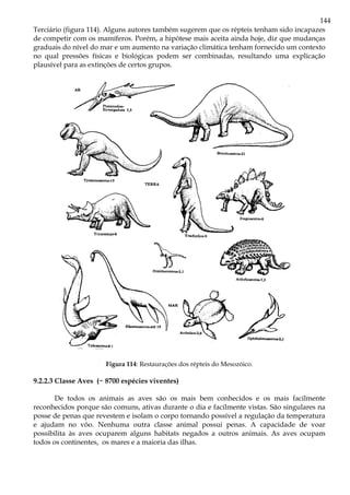 144
Terciário (figura 114). Alguns autores também sugerem que os répteis tenham sido incapazes
de competir com os mamíferos. Porém, a hipótese mais aceita ainda hoje, diz que mudanças
graduais do nível do mar e um aumento na variação climática tenham fornecido um contexto
no qual pressões físicas e biológicas podem ser combinadas, resultando uma explicação
plausível para as extinções de certos grupos.
Figura 114: Restaurações dos répteis do Mesozóico.
9.2.2.3 Classe Aves (~ 8700 espécies viventes)
De todos os animais as aves são os mais bem conhecidos e os mais facilmente
reconhecidos porque são comuns, ativas durante o dia e facilmente vistas. São singulares na
posse de penas que revestem e isolam o corpo tornando possível a regulação da temperatura
e ajudam no vôo. Nenhuma outra classe animal possui penas. A capacidade de voar
possibilita às aves ocuparem alguns habitats negados a outros animais. As aves ocupam
todos os continentes, os mares e a maioria das ilhas.
 