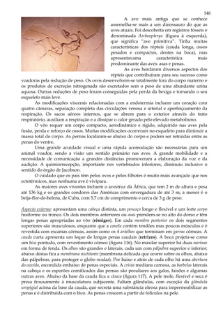 146
A ave mais antiga que se conhece
assemelha-se mais a um dinossauro do que as
aves atuais. Foi descoberta em registros fósseis e
denominada Archeopteryx (figura à esquerda),
que significa “ave primitiva”. Tinha muitas
características dos répteis (cauda longa, ossos
pesados e compactos, dentes na boca), mas
apresentavama característica mais
predominante das aves: asas e penas.
As aves herdaram diversos aspectos dos
répteis que contribuíram para seu sucesso como
voadoras pela redução de peso. Os ovos desenvolvem-se totalmente fora do corpo materno e
os produtos de excreção nitrogenada são excretados sem o peso de uma abundante urina
aquosa. Outras reduções de peso foram conseguidas pela perda da bexiga e tornando o seu
esqueleto mais leve.
As modificações viscerais relacionadas com a endotermia incluem um coração com
quatro câmaras, separação completa das circulações venosa e arterial e aperfeiçoamento da
respiração. Os sacos aéreos internos, que se abrem para o exterior através do trato
respiratório, auxiliam a respiração e a dissipar o calor gerado pelo elevado metabolismo.
O vôo requer um corpo compacto, aerodinâmico e rígido, adquirido nas aves pela
fusão, perda e reforço de ossos. Muitas modificações ocorreram no esqueleto para diminuir a
massa total do corpo. As pernas localizam-se abaixo do corpo e podem ser retraídas entre as
penas do ventre.
Uma grande acuidade visual e uma rápida acomodação são necessárias para um
animal voador, sendo a visão um sentido primário nas aves. A grande mobilidade e a
necessidade de comunicação a grandes distâncias promoveram a elaboração da voz e da
audição. A quimiorrecepção, importante nos vertebrados inferiores, diminuiu inclusive o
sentido do órgão de Jacobson.
O cuidado que os pais têm pelos ovos e pelos filhotes é muito mais avançado que nos
ectotérmicos, mas nenhuma ave é vivípara.
As maiores aves viventes incluem o avestruz da África, que tem 2 m de altura e pesa
até 136 kg e os grandes condores das Américas com envergadura de até 3 m; a menor é o
beija-flor-de-helena, de Cuba, com 5,7 cm de comprimento e cerca de 3 g de peso.
Aspecto externo: apresentam uma cabeça distinta, um pescoço longo e flexível e um forte corpo
fusiforme ou tronco. Os dois membros anteriores ou asas prendem-se no alto do dorso e têm
longas penas apropriadas ao vôo (rêmiges). Em cada membro posterior os dois segmentos
superiores são musculosos, enquanto que a canela contém tendões mas poucos músculos e é
revestida com escamas córneas, assim como os 4 artelhos que terminam em garras córneas. A
cauda curta apresenta um leque de longas penas caudais (retrizes). A boca projeta-se como
um bico pontudo, com revestimento córneo (figura 116). No maxilar superior há duas narinas
em forma de fenda. Os olhos são grandes e laterais, cada um com pálpebra superior e inferior;
abaixo destas fica a membrana nictitante (membrana delicada que ocorre sobre os olhos, abaixo
das pálpebras, para proteger o globo ocular). Por baixo e atrás de cada olho há uma abertura
do ouvido, escondida embaixo de penas especiais. A crista mediana carnosa, as barbelas laterais
na cabeça e os esporões cornificados das pernas são peculiares aos galos, faisões e algumas
outras aves. Abaixo da base da cauda fica a cloaca (figura 117). A pele mole, flexível e seca é
presa frouxamente à musculatura subjacente. Faltam glândulas, com exceção da glândula
uropigial acima da base da cauda, que secreta uma substância oleosa para impermeabilizar as
penas e é distribuída com o bico. As penas crescem a partir de folículos na pele.
 