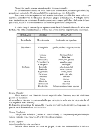 155
No ouvido médio aparece além do estribo, bigorna e martelo.
As vértebras cervicais são em no de 7 em todos os mamíferos, exceto no peixe-boi (06),
preguiça-de-dois-dedos (06), tamanduá (08) e na preguiça-de-três-dedos (09).
Embora os mamíferos possuam basicamente 4 membros pentadáctilos, estes estiveram
sujeitos a consideráveis modificações em muitos grupos especializados. A redução ocorre
mais freqüentemente no número de dedos, porém nos cetáceos (golfinhos e baleias) e sirênios
(peixe-boi), todas as evidências externas de membros posteriores desaparecem.
A tabela a seguir mostra alguns representantes das subclasses de Mammalia. Obs.: nos
Eutheria não estão colocadas todas as ordens, mas apenas as mais popularmente conhecidas.
SUBCLASSE ORDENS EXEMPLOS
Prototheria Monotremata Ornitorrinco e équidnas
Metatheria Marsupialia gambá, coalas, cangurus, cuícas
Eutheria
Cetacea
Sirenea
Artiodactyla
Perissodactyla
Chiroptera
Edentata
Rodentia
Lagomorfa
Carnivora
Prossimia
Simia
Hominia
Proboscidia
Pinnipedia
Baleia,golfinho
Peixe-boi
Porco, boi, girafas
cavalos, antas
morcegos
tatu, tamanduá
rato, capivara
coelho, lebre
gato, cão, leão
lêmures
macaco
Homem
elefantes
leões-marinhos, focas, morsas
Sistema Muscular
Muito variável nas diferentes formas especializadas. Contudo, aspectos distintivos
podem ser indicados:
a) musculatura dérmica bem desenvolvida (por exemplo, os músculos de expressão facial,
das pálpebras, nariz e lábios);
b) disposição metamérica do tronco, tão evidente nos vertebrados inferiores, desaparece em
grande parte dos mamíferos ou é encoberta.
Sistema Circulatório
Coração com 4 câmaras (2 atriais e 2 ventriculares). Há completa separação do sangue
venoso e arterial como nas aves. Os eritrócitos são anucleados.
Sistema Digestivo
Aspectos particulares de mamíferos:
Existem lábios móveis em todos os grupos, exceto em monotremados e cetáceos.
 