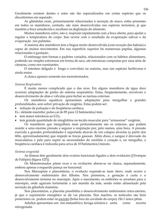 156
Geralmente existem dentes e estes são tão especializados em certas espécies que os
discutiremos em separado.
As glândulas orais, primariamente relacionadas à secreção de muco, estão presentes
em todos os mamíferos, contudo, são mais desenvolvidas nas espécies terrestres, já que
mantém a boca umedecida e auxiliam na deglutição do alimento.
Muitos mamíferos arfam, isto é, respiram rapidamente com a boca aberta, para ajudar a
regular a temperatura do corpo. Isso ocorre com o resultado da evaporação salivar e da
evaporação nos pulmões.
A maioria dos mamíferos tem a língua muito desenvolvida (com exceção das baleias) e
capaz de muitos movimentos. Em sua superfície superior há numerosas papilas, algumas
relacionadas à gustação.
O estômago tem formas e padrões variados, relacionados com os hábitos alimentares,
podendo ser simples estruturas em forma de saco, até estruturas compostas por uma série de
câmaras, como nos ruminantes.
O intestino delgado é longo e convoluto na maioria, mas nas espécies herbívoras é
ainda maior.
A cloaca aparece somente nos monotremados.
Sistema Respiratório
É muito menos complicado que o das aves. Em alguns mamíferos de água doce
ocorrem adaptações de partes do sistema respiratório. Estas, freqüentemente, envolvem o
desenvolvimento de abas e válvulas para fechar as narinas externas.
Os mamíferos aquáticos apresentam adaptações para mergulhar a grandes
profundidades, sem sofrer privação de oxigênio. Estas podem ser:
• redução da pulsação e da freqüência cardíaca;
Ex.: elefante-marinho: pulso cai de 85 para 12 batimentos/min.
• tem maior tolerância ao CO2;
• tem grande quantidade de mioglobina no tecido muscular para “armazenar” oxigênio.
Os mamíferos que mergulham mais profundamente são os cetáceos, que podem
resistir a uma enorme pressão e segurar a respiração por, pelo menos, uma hora. A pressão
exercida a grandes profundidades é suportada através de um colapso alveolar (a partir dos
60m, aproximadamente) que impede as trocas gasosas. Além disso, o sangue é desviado da
musculatura e pele para suprir as necessidades do encéfalo e coração e, no mergulho, a
freqüência cardíaca é reduzida para cerca de 10 batimentos/minuto.
Sistema urogenital
As fêmeas têm geralmente dois ovários funcionais ligados a dois oviductos [(Trompas
de Falópio) (figura 127)].
Os Monotremados põem ovos e os oviductos abrem-se na cloaca, separadamente,
embora apenas o esquerdo pareça ser funcional.
Nos Marsupiais e placentários, o oviducto expande-se num útero, onde ocorre o
desenvolvimento embrionário dos filhotes. Nos primeiros, a gestação é curta e o
desenvolvimento termina no marsúpio. Após o nascimento, os embriões se arrastam para o
marsúpio, onde agarram fortemente a um mamilo da mãe, sendo então alimentado pela
secreção da glândula mamária.
Nos placentários, a placenta possibilita o desenvolvimento embrionário intra-uterino,
já que o suprimento energético se dá via placenta. Nos machos, os testículos são bem
posteriores ou podem estar no escroto (bolsa fora da cavidade do corpo). Há 1 único pênis.
Adultos apresentam um rim metanéfrico, bexiga urinária e uréia como excreta
nitrogenada.
 