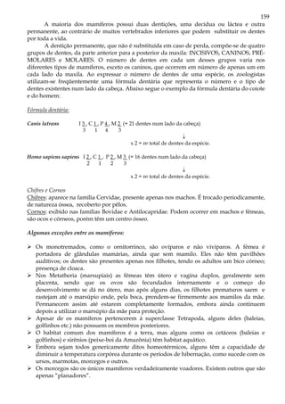 159
A maioria dos mamíferos possui duas dentições, uma decídua ou láctea e outra
permanente, ao contrário de muitos vertebrados inferiores que podem substituir os dentes
por toda a vida.
A dentição permanente, que não é substituída em caso de perda, compõe-se de quatro
grupos de dentes, da parte anterior para a posterior da maxila: INCISIVOS, CANINOS, PRÉ-
MOLARES e MOLARES. O número de dentes em cada um desses grupos varia nos
diferentes tipos de mamíferos, exceto os caninos, que ocorrem em número de apenas um em
cada lado da maxila. Ao expressar o número de dentes de uma espécie, os zoologistas
utilizam-se freqüentemente uma fórmula dentária que representa o número e o tipo de
dentes existentes num lado da cabeça. Abaixo segue o exemplo da fórmula dentária do coiote
e do homem:
Fórmula dentária:
Canis latrans I 3 , C 1 , P 4 , M 2 (= 21 dentes num lado da cabeça)
3 1 4 3
↓
x 2 = no total de dentes da espécie.
Homo sapiens sapiens I 2 , C 1 , P 2 , M 3 (= 16 dentes num lado da cabeça)
2 1 2 3
↓
x 2 = no total de dentes da espécie.
Chifres e Cornos
Chifres: aparece na família Cervidae, presente apenas nos machos. É trocado periodicamente,
de natureza óssea, recoberto por pêlos.
Cornos: exibido nas famílias Bovidae e Antilocapridae. Podem ocorrer em machos e fêmeas,
são ocos e córneos, porém têm um centro ósseo.
Algumas exceções entre os mamíferos:
Os monotremados, como o ornitorrinco, são ovíparos e não vivíparos. A fêmea é
portadora de glândulas mamárias, ainda que sem mamilo. Eles não têm pavilhões
auditivos; os dentes são presentes apenas nos filhotes, tendo os adultos um bico córneo;
presença de cloaca.
Nos Metatheria (marsupiais) as fêmeas têm útero e vagina duplos, geralmente sem
placenta, sendo que os ovos são fecundados internamente e o começo do
desenvolvimento se dá no útero, mas após alguns dias, os filhotes prematuros saem e
rastejam até o marsúpio onde, pela boca, prendem-se firmemente aos mamilos da mãe.
Permanecem assim até estarem completamente formados, embora ainda continuem
depois a utilizar o marsúpio da mãe para proteção.
Apesar de os mamíferos pertencerem à superclasse Tetrapoda, alguns deles (baleias,
golfinhos etc.) não possuem os membros posteriores.
O habitat comum dos mamíferos é a terra, mas alguns como os cetáceos (baleias e
golfinhos) e sirênios (peixe-boi da Amazônia) têm habitat aquático.
Embora sejam todos genericamente ditos homeotérmicos, alguns têm a capacidade de
diminuir a temperatura corpórea durante os períodos de hibernação, como sucede com os
ursos, marmotas, morcegos e outros.
Os morcegos são os únicos mamíferos verdadeiramente voadores. Existem outros que são
apenas “planadores”.
 