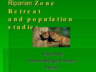 Riparian  Zone Retreat and population studies Vince Anto  Honors Biology II Honors  Period 1 