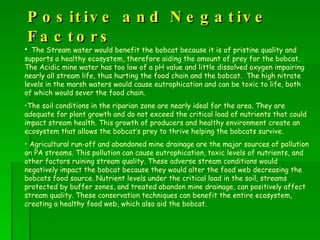 Positive and Negative Factors The Stream water would benefit the bobcat because it is of pristine quality and supports a healthy ecosystem, therefore aiding the amount of prey for the bobcat. The Acidic mine water has too low of a pH value and little dissolved oxygen impairing nearly all stream life, thus hurting the food chain and the bobcat.  The high nitrate levels in the marsh waters would cause eutrophication and can be toxic to life, both of which would sever the food chain.  The soil conditions in the riparian zone are nearly ideal for the area. They are adequate for plant growth and do not exceed the critical load of nutrients that could impact stream health. This growth of producers and healthy environment create an ecosystem that allows the bobcat’s prey to thrive helping the bobcats survive. Agricultural run-off and abandoned mine drainage are the major sources of pollution on PA streams. This pollution can cause eutrophication, toxic levels of nutrients, and other factors ruining stream quality. These adverse stream conditions would negatively impact the bobcat because they would alter the food web decreasing the bobcats food source. Nutrient levels under the critical load in the soil, streams protected by buffer zones, and treated abandon mine drainage, can positively affect stream quality. These conservation techniques can benefit the entire ecosystem, creating a healthy food web, which also aid the bobcat.  