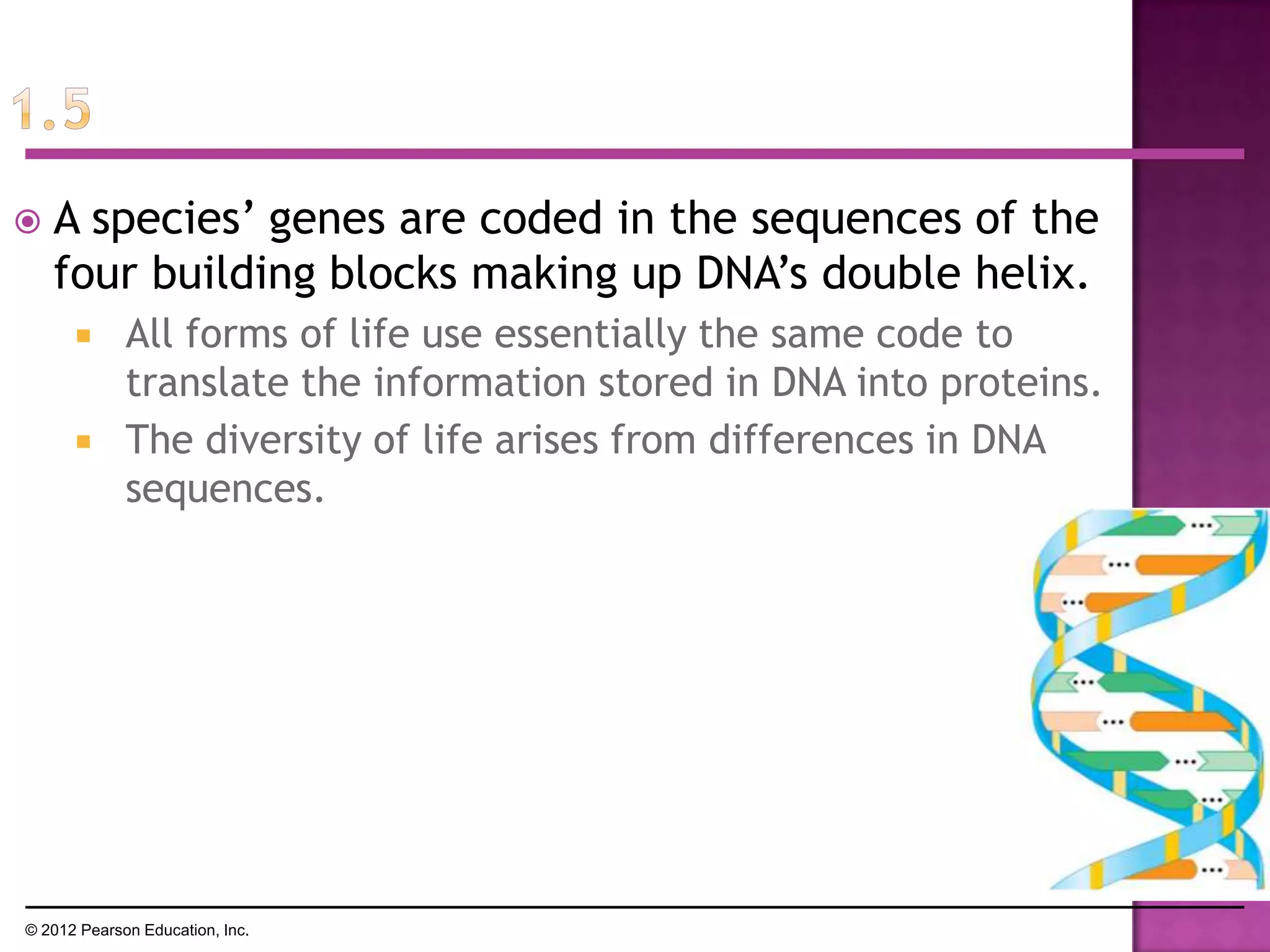  A species’ genes are coded in the sequences of the
four building blocks making up DNA’s double helix.
 All forms of life use essentially the same code to
translate the information stored in DNA into proteins.
 The diversity of life arises from differences in DNA
sequences.
© 2012 Pearson Education, Inc.
 