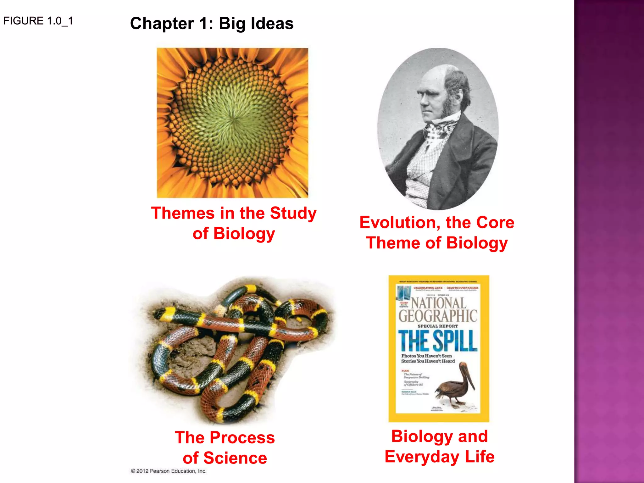 Chapter 1: Big Ideas
Themes in the Study
of Biology
The Process
of Science
Biology and
Everyday Life
Evolution, the Core
Theme of Biology
 
