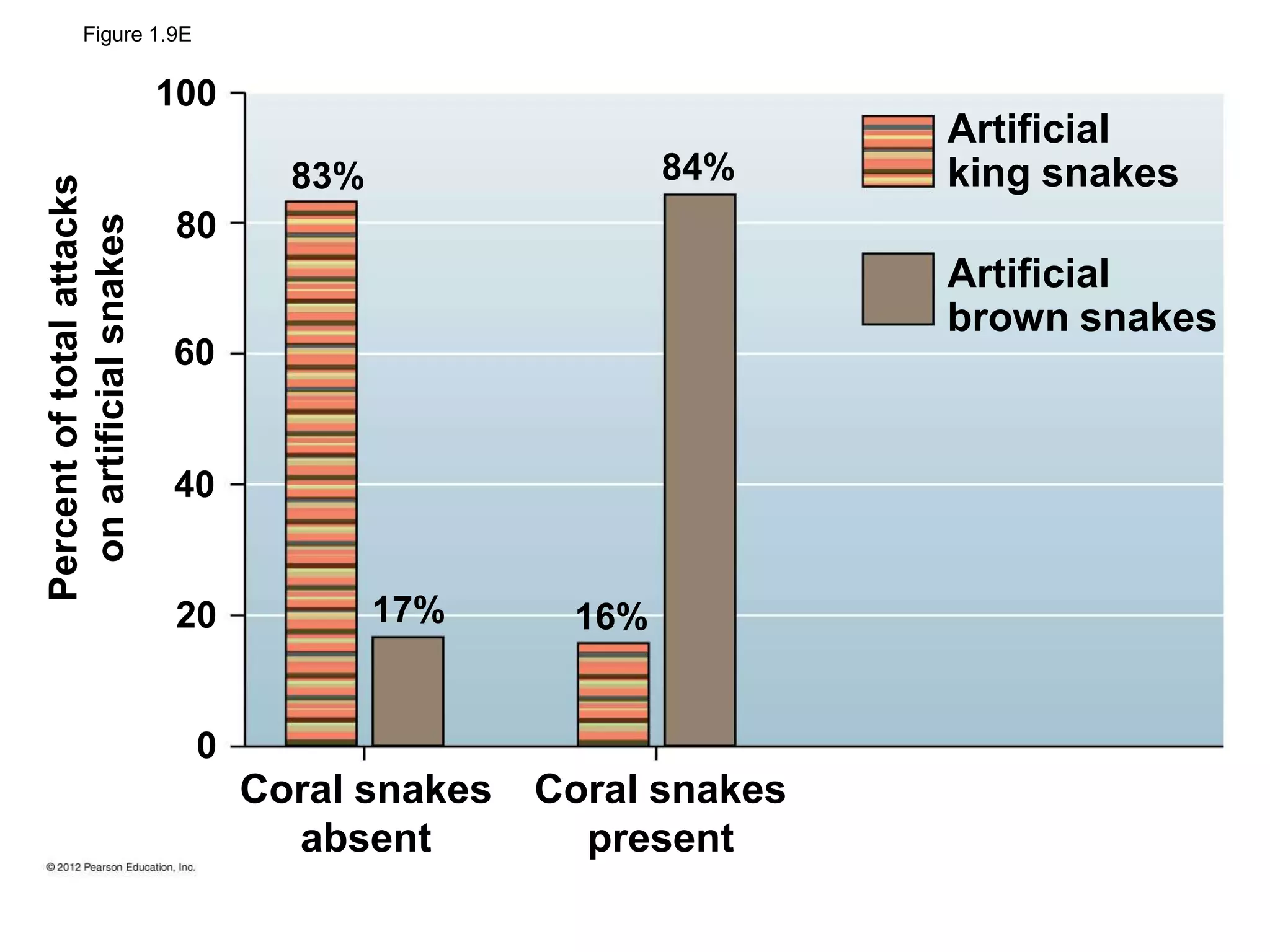 Figure 1.9E
Coral snakes
present
Artificial
king snakes
Artificial
brown snakes
84%
0
20
40
60
80
100
Coral snakes
absent
17% 16%
Percentoftotalattacks
onartificialsnakes
83%
 