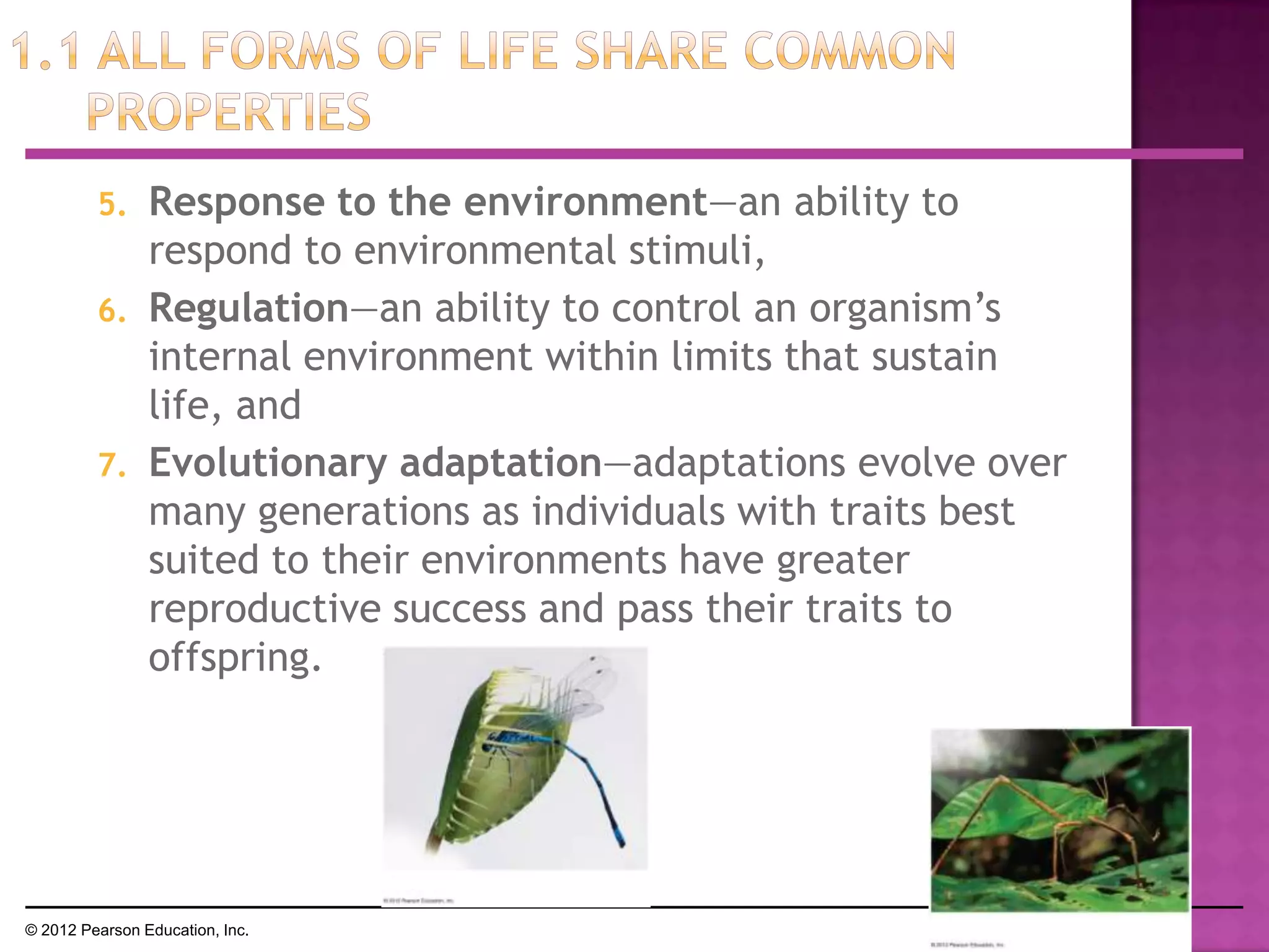 5. Response to the environment—an ability to
respond to environmental stimuli,
6. Regulation—an ability to control an organism’s
internal environment within limits that sustain
life, and
7. Evolutionary adaptation—adaptations evolve over
many generations as individuals with traits best
suited to their environments have greater
reproductive success and pass their traits to
offspring.
© 2012 Pearson Education, Inc.
 