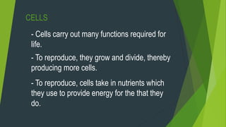 CELLS
- Cells carry out many functions required for
life.
- To reproduce, they grow and divide, thereby
producing more cells.
- To reproduce, cells take in nutrients which
they use to provide energy for the that they
do.
 