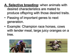 bio 2 lesson 2 genetic from general biol | PPT