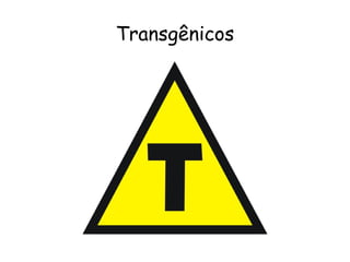 Transgênicos 