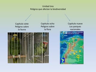 Unidad tres
                 Peligros que afectan la biodiversidad




Capitulo siete              Capitulo ocho                Capitulo nueve
Peligros sobre              Peligros sobre                Los parques
   la fauna                     la flora                   nacionales
 