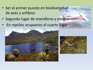 • Ser el primer puesto en biodiversidad
  de aves y anfibios
• Segundo lugar de mamíferos y plantas
• En reptiles ocupamos el cuarto lugar
 