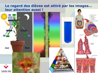 Le regard des élèves est attiré par les images…
leur attention aussi !
 