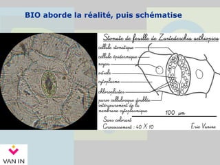 BIO aborde la réalité, puis schématise
 