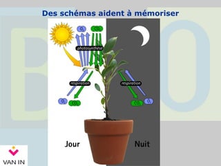 Des schémas aident à mémoriser
 