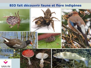 BIO fait découvrir faune et flore indigènes
 