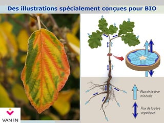 Des illustrations spécialement conçues pour BIO
 