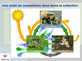 Une unité de conventions dans toute la collection
 