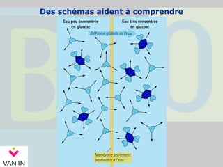 Des schémas aident à comprendre
 