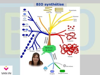 BIO synthétise
 