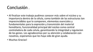 Conclusión .
• Al finalizar este trabajo pudimos conocer más sobre el núcleo y su
importancia dentro de la célula, como también de las estructuras tan
impresincidbles que lo componen, elementos esenciales y
fundamentales para la expresión y transmisión del material
hereditario, funcionalidad principal del núcleo como central
controladora de cada celula, garantizando la integridad y regulacion
de los genes. Les agradecemos por su atención y colaboración con
nosotros, esperamos que les haya sido de gran ayuda.
• Muchas Gracias!
 