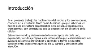 Introducción
En el presente trabajo les hablaremos del núcleo y los cromosomas,
conocer sus estructuras tanto como funciones ya que sabemos, el
núcleo es la estructura característica de la célula, al igual que los
cromosomas, son estructuras que se encuentran en el centro de la
células
Estaremos viendo y determinando los conceptos de cada uno,
explicando, viendo ejemplos, esta información que les brindaremos nos
ayudará bastante a profundizar y aprender a través de nuestro
conocimiento, esperamos que sea de su agrado y presten mucha
atención.
 