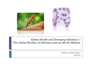 Global Health and Emerging Infections 1
The Global Burden of Infection and an old foe Malaria


                                     Professor Mark Pallen
                                                   Bio303
 