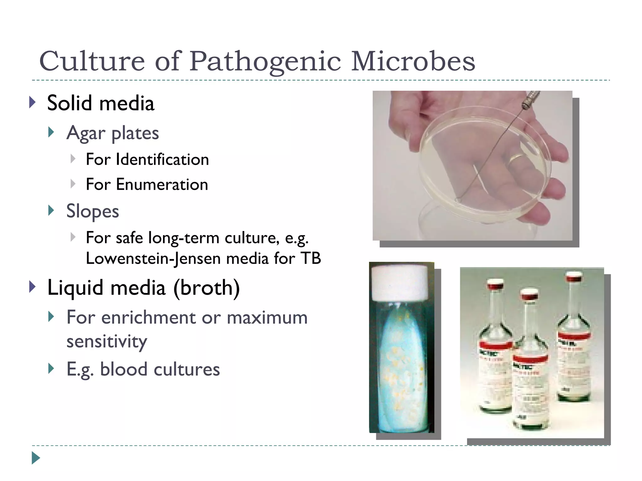 Culture of Pathogenic Microbes Solid media Agar plates For Identification For Enumeration Slopes For safe long-term culture, e.g. Lowenstein-Jensen media for TB Liquid media (broth) For enrichment or maximum sensitivity E.g. blood cultures 