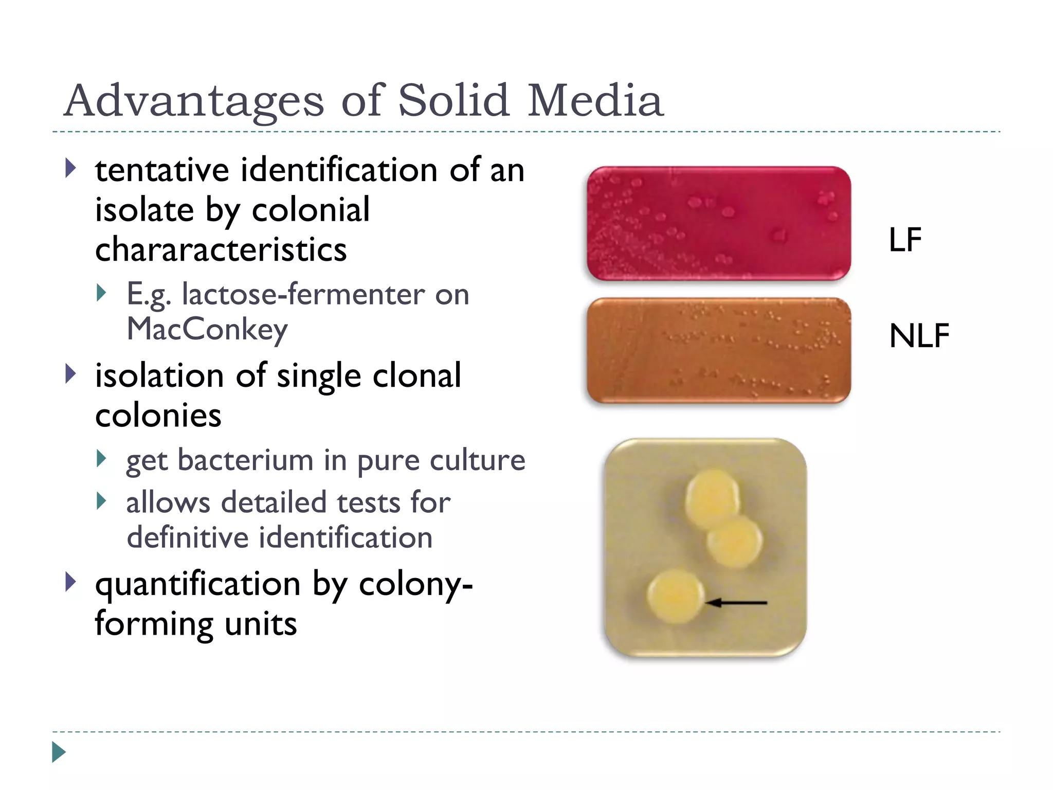 Advantages of Solid Media tentative identification of an isolate  by colonial chararacteristics E.g. lactose-fermenter on MacConkey isolation of single clonal colonies get bacterium in pure culture allows detailed tests for definitive identification quantification by colony-forming units LF NLF 