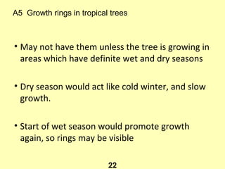 A5 Growth rings in tropical trees
• May not have them unless the tree is growing in
areas which have definite wet and dry seasons
• Dry season would act like cold winter, and slow
growth.
• Start of wet season would promote growth
again, so rings may be visible
22
 