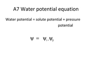 Plant transport | PPT