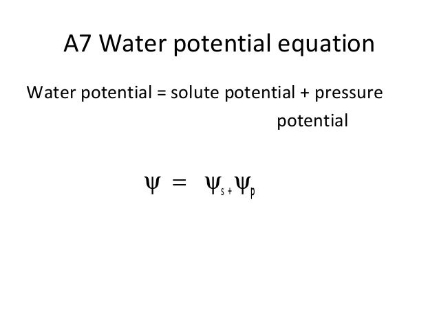 water potential equation