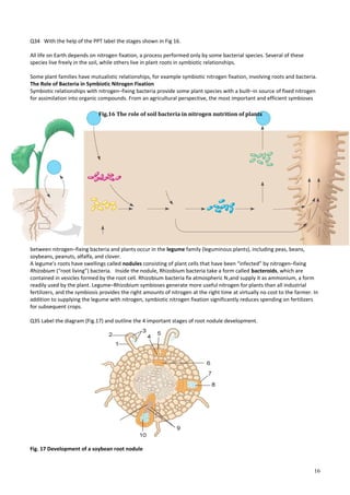 Plant transport and nutrition 2 | DOC