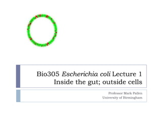 Bio305 Escherichia coli Lecture 1
     Inside the gut; outside cells
                        Professor Mark Pallen
                     University of Birmingham
 