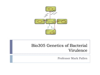 Bio305 Genetics of Bacterial
                  Virulence
             Professor Mark Pallen
 