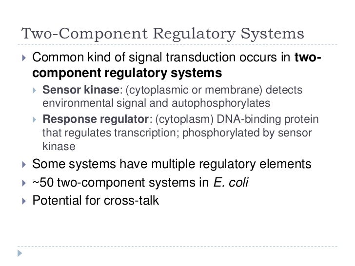 Bio305 Lecture on Gene Regulation in Bacterial Pathogens