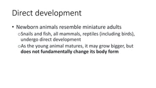 Bio 306_ Introduction to animal development LT 1-1.pptx