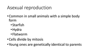 Bio 306_ Introduction to animal development LT 1-1.pptx