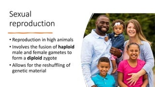 Bio 306_ Introduction to animal development LT 1-1.pptx