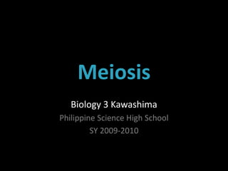 Meiosis Biology 3 Kawashima Philippine Science High School SY 2009-2010 
