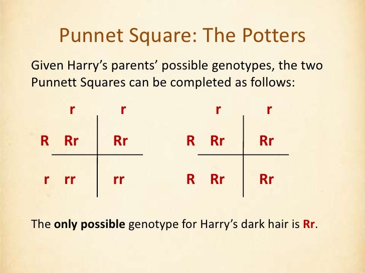 Bio3 0910 Lec6 Genetics Starter
