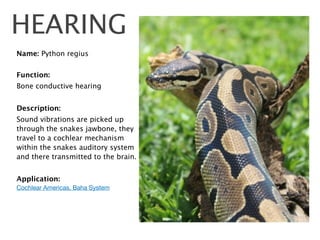 Biodesign 30 living things | PDF