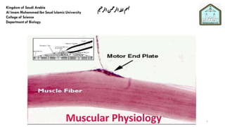 Muscular Physiology 1
‫م‬‫ي‬‫ح‬‫الر‬‫من‬‫ح‬‫الر‬‫هللا‬‫م‬‫س‬‫ب‬
 