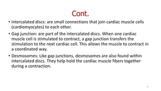 Cont.
• Intercalated discs: are small connections that join cardiac muscle cells
(cardiomyocytes) to each other.
• Gap junction: are part of the intercalated discs. When one cardiac
muscle cell is stimulated to contract, a gap junction transfers the
stimulation to the next cardiac cell. This allows the muscle to contract in
a coordinated way.
• Desmosomes: Like gap junctions, desmosomes are also found within
intercalated discs. They help hold the cardiac muscle fibers together
during a contraction.
37
 