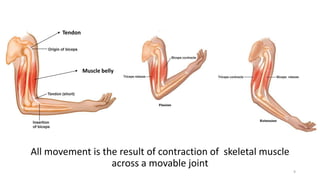 Muscle belly
Tendon
All movement is the result of contraction of skeletal muscle
across a movable joint
9
 