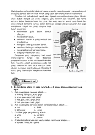 Organ tubuh yang berfungsi sebagai alat ekskresi sekaligus indera peraba adalah